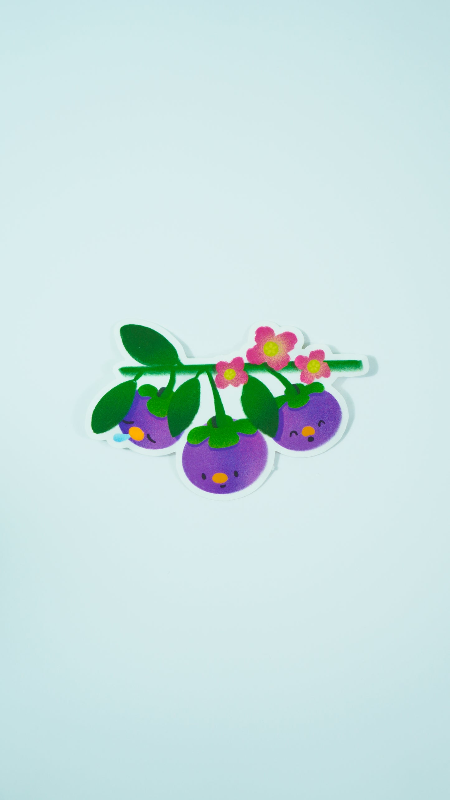mangosteen on the vine sticker